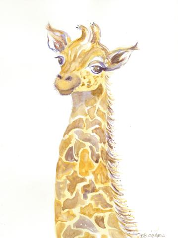 Illustration by Deb O'Brien