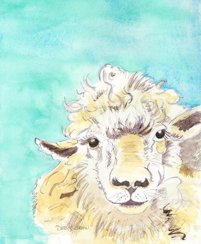 Illustration by Deb O'Brien