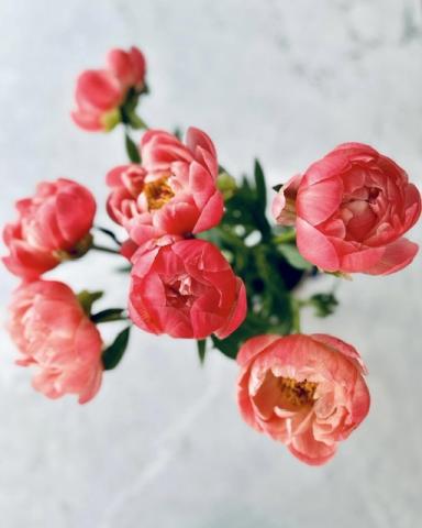 Photograph by Jennifer Morton