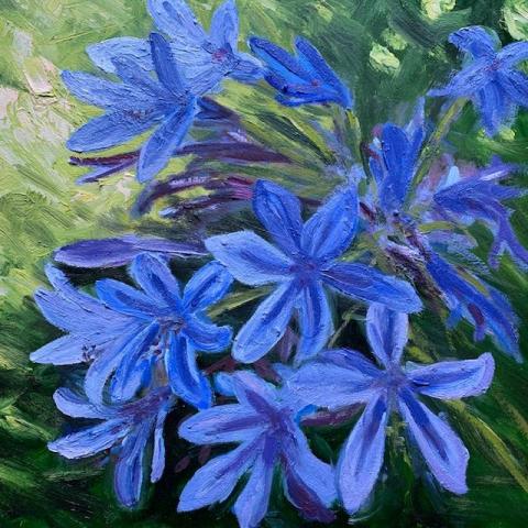 Oil painting by Rose Walsh-Cooke