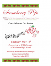 Strawberry Pops 2019