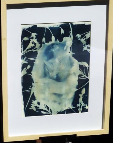 Cyanotype, Brioch Ochoa