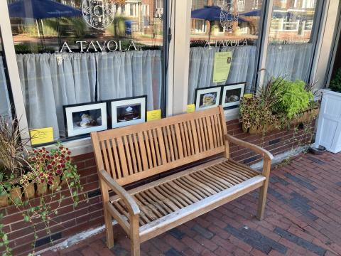 Art in August artworks in shop window