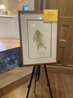 Watercolor by Joyce Westner at Bespoke of Winchester